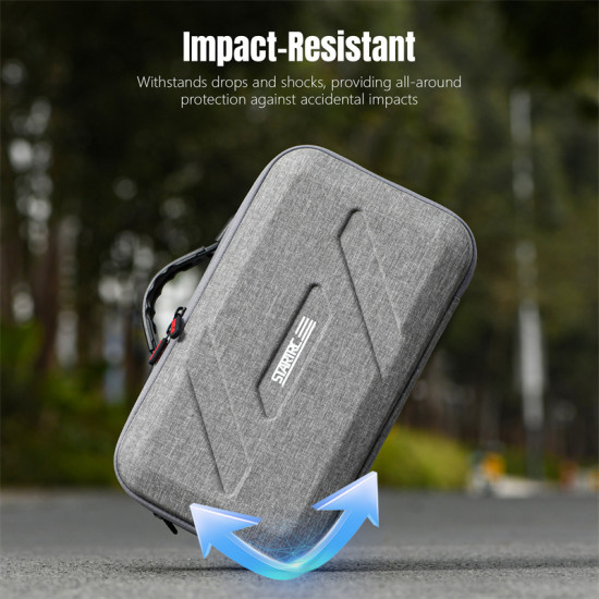 Portable storage bag FOR FLIP 