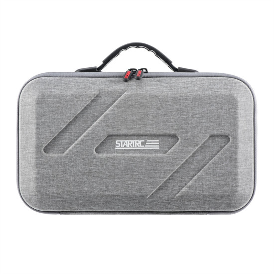 Portable storage bag FOR FLIP 