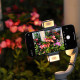 For DJI OM 5/4/4 SE Two-way LED Video Light with Charging Case Tri-color Dimmable Portable Fill Lamp Photography Sunnylife L375 