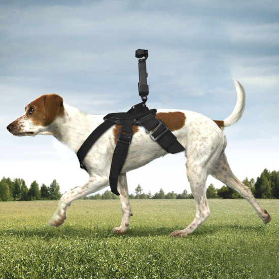 Pet Dog Chest Band Strap Holder Belt Accessories for DJI OSMO POCKET and GOPRO Camera